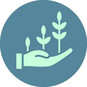 Tailored Services icon